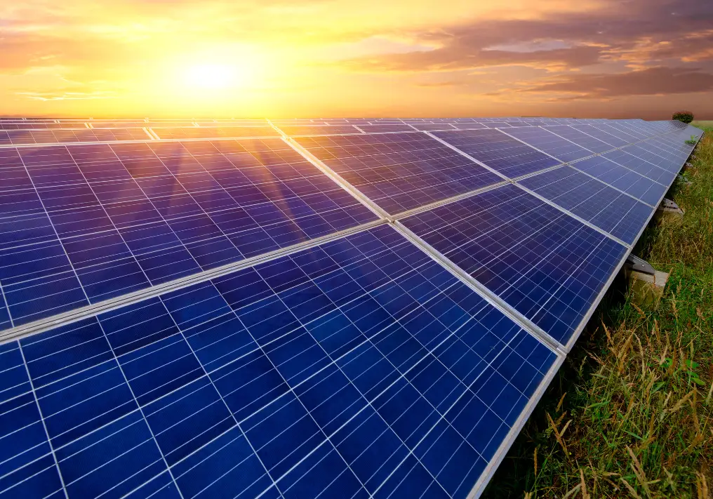 sunopee valorise votre terrain avec l'installation d'une centrale photovoltaique de panneau solaire au sol 